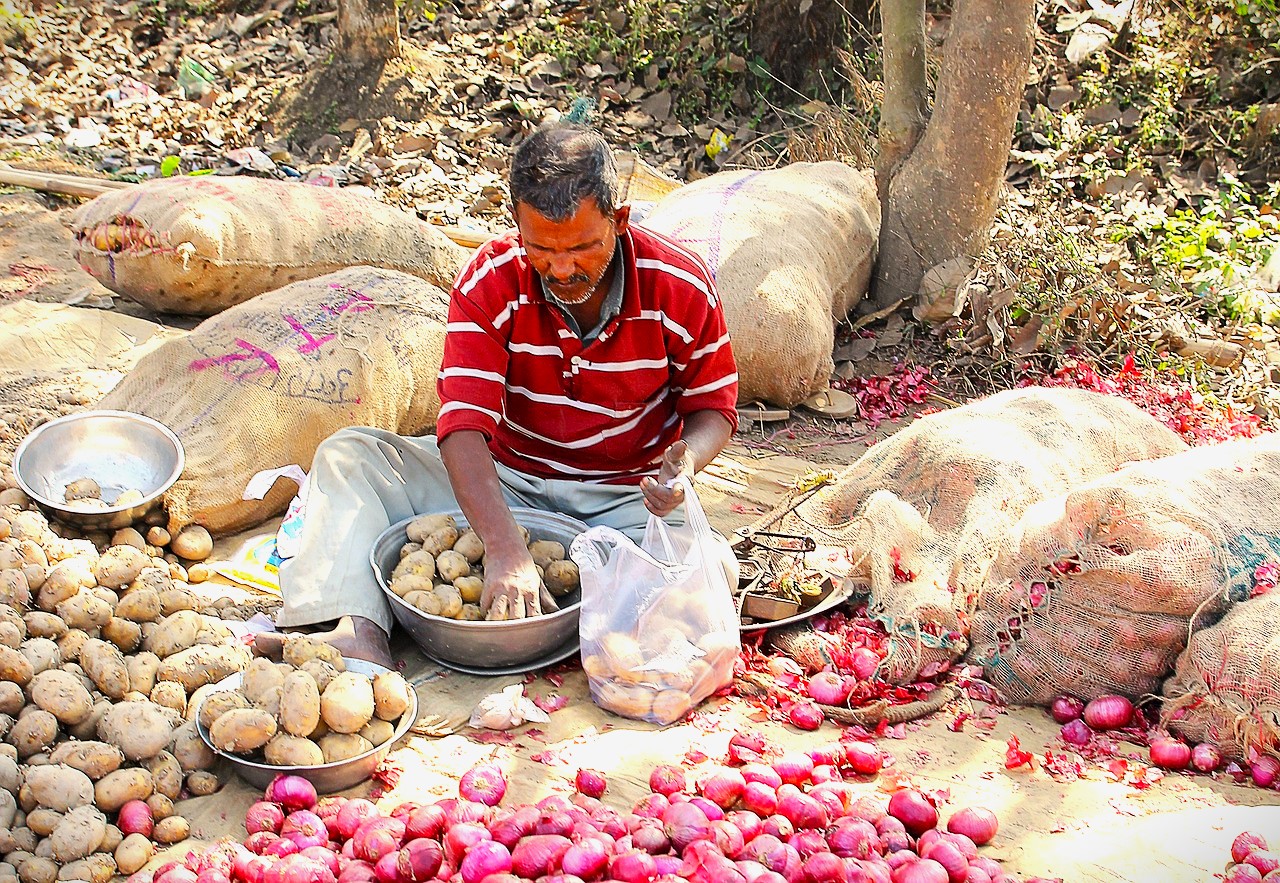 onion, street vendor