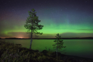 Finland free travel opportunity 2026