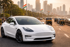 Tesla India entry challenges