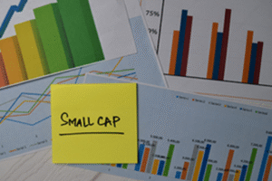 monopoly stocks in India 2026