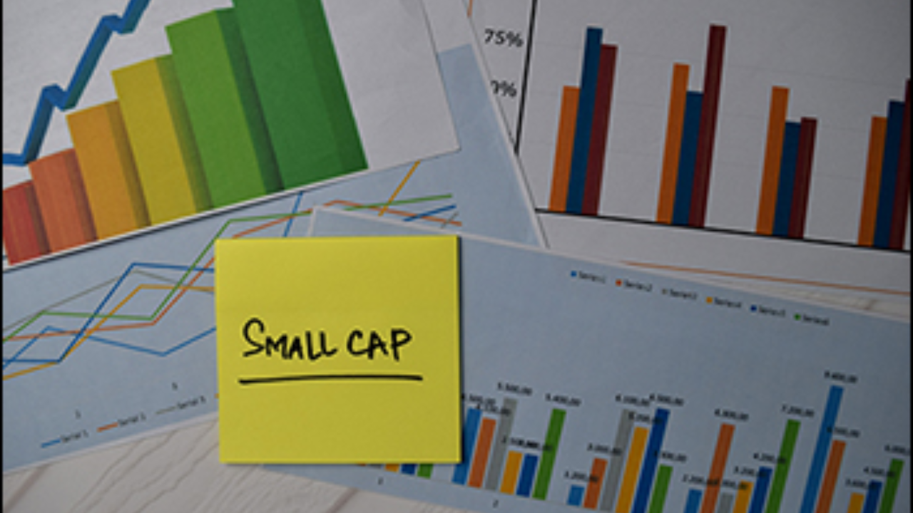 monopoly stocks in India 2026